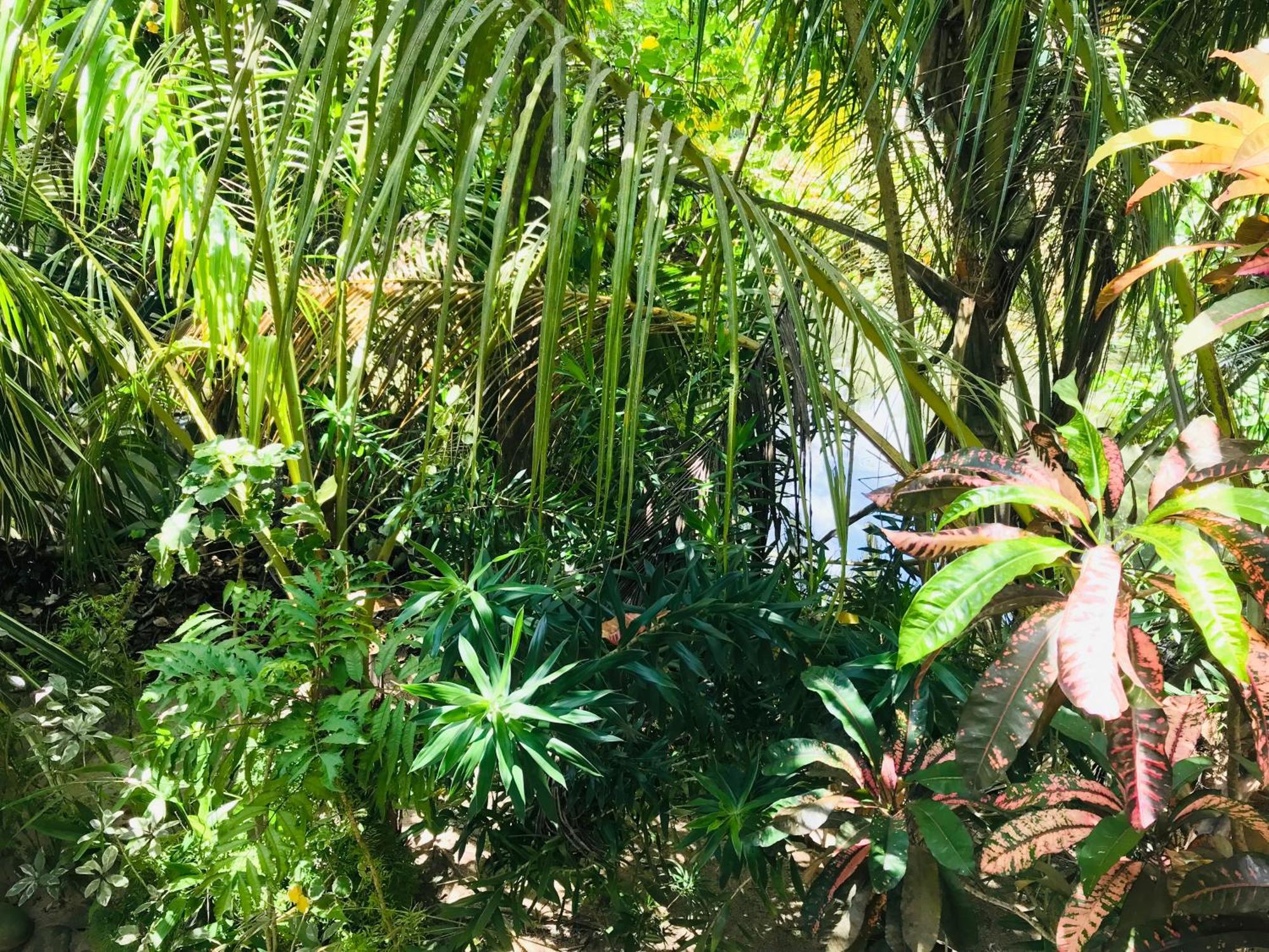 Flora And Fauna Mirissa Exterior photo