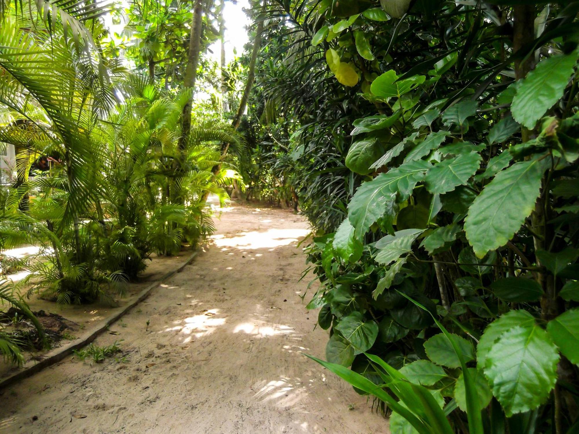Flora And Fauna Mirissa Exterior photo