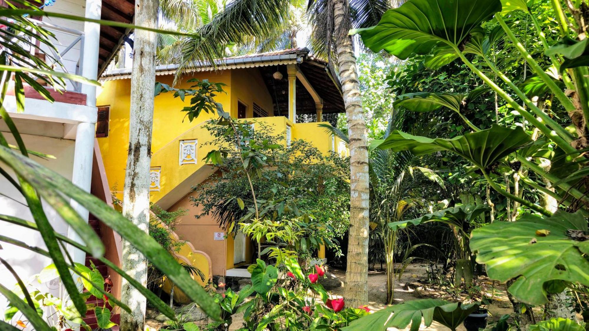 Flora And Fauna Mirissa Room photo