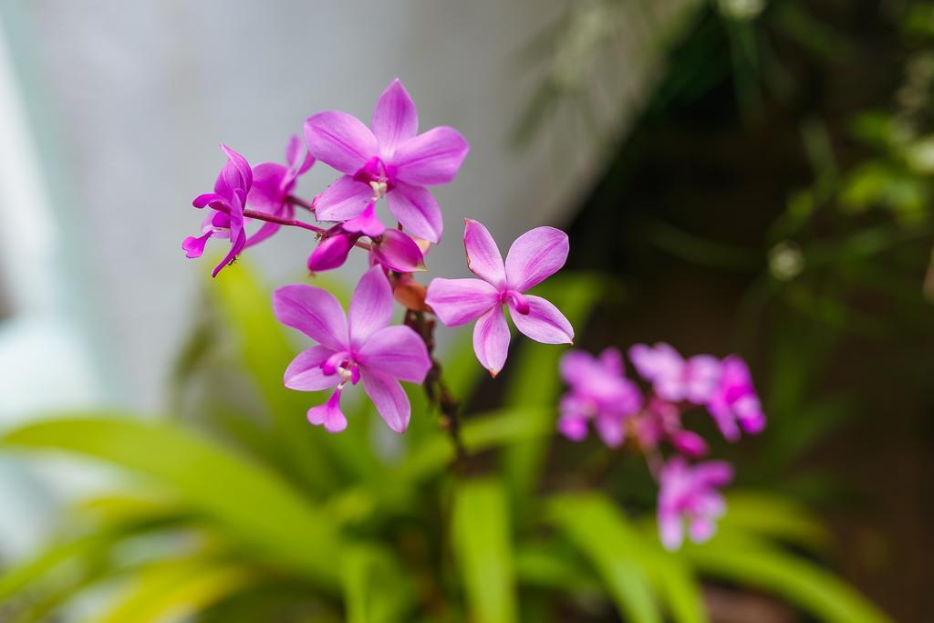Flora And Fauna Mirissa Exterior photo